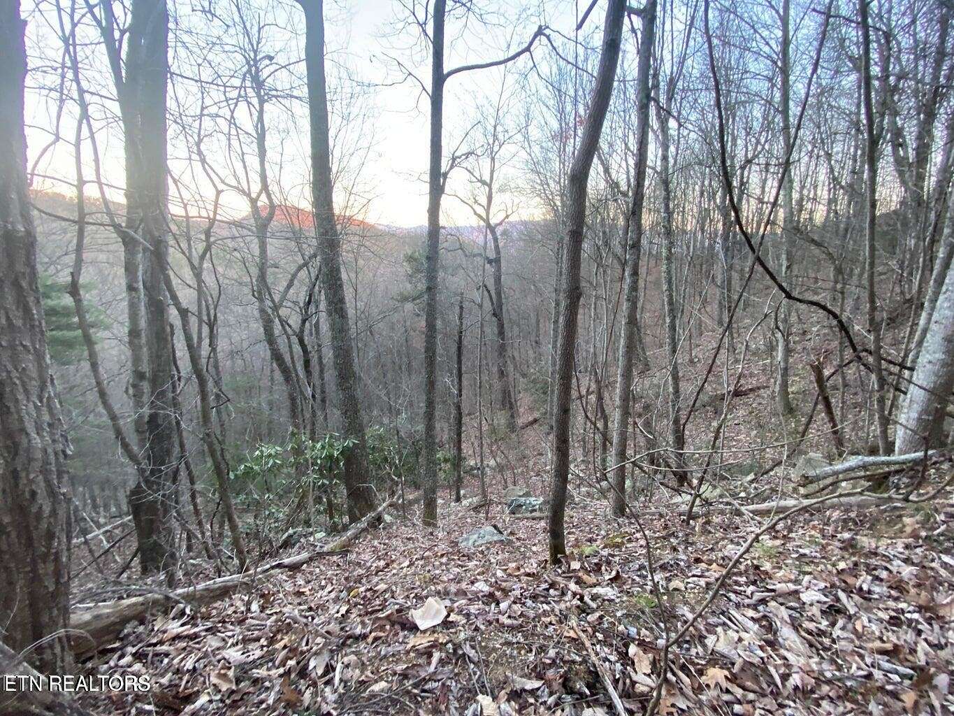 0.26 Acres of Residential Land for Sale in Sevierville, Tennessee
