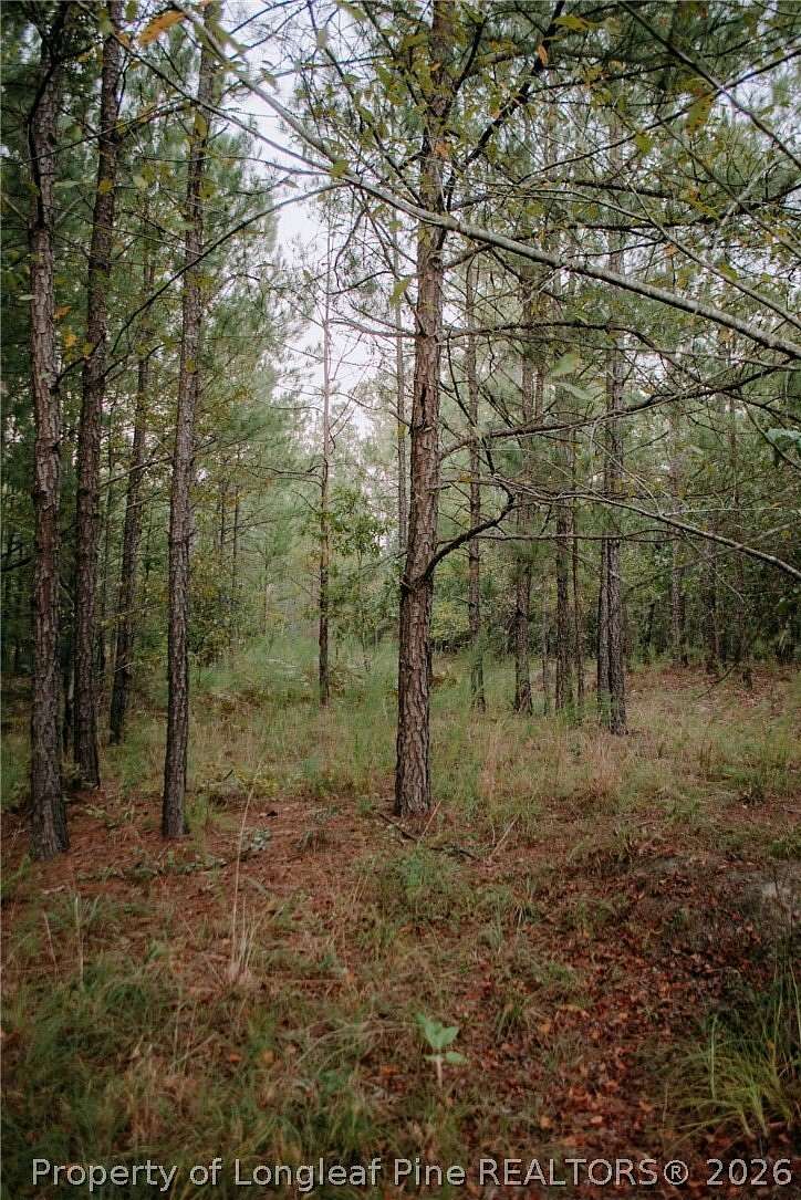 1 Acre of Residential Land for Sale in Aberdeen, North Carolina