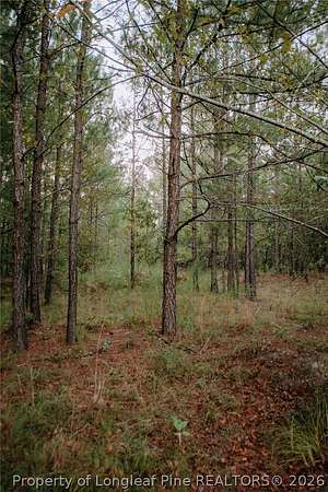 1 Acre of Residential Land for Sale in Aberdeen, North Carolina