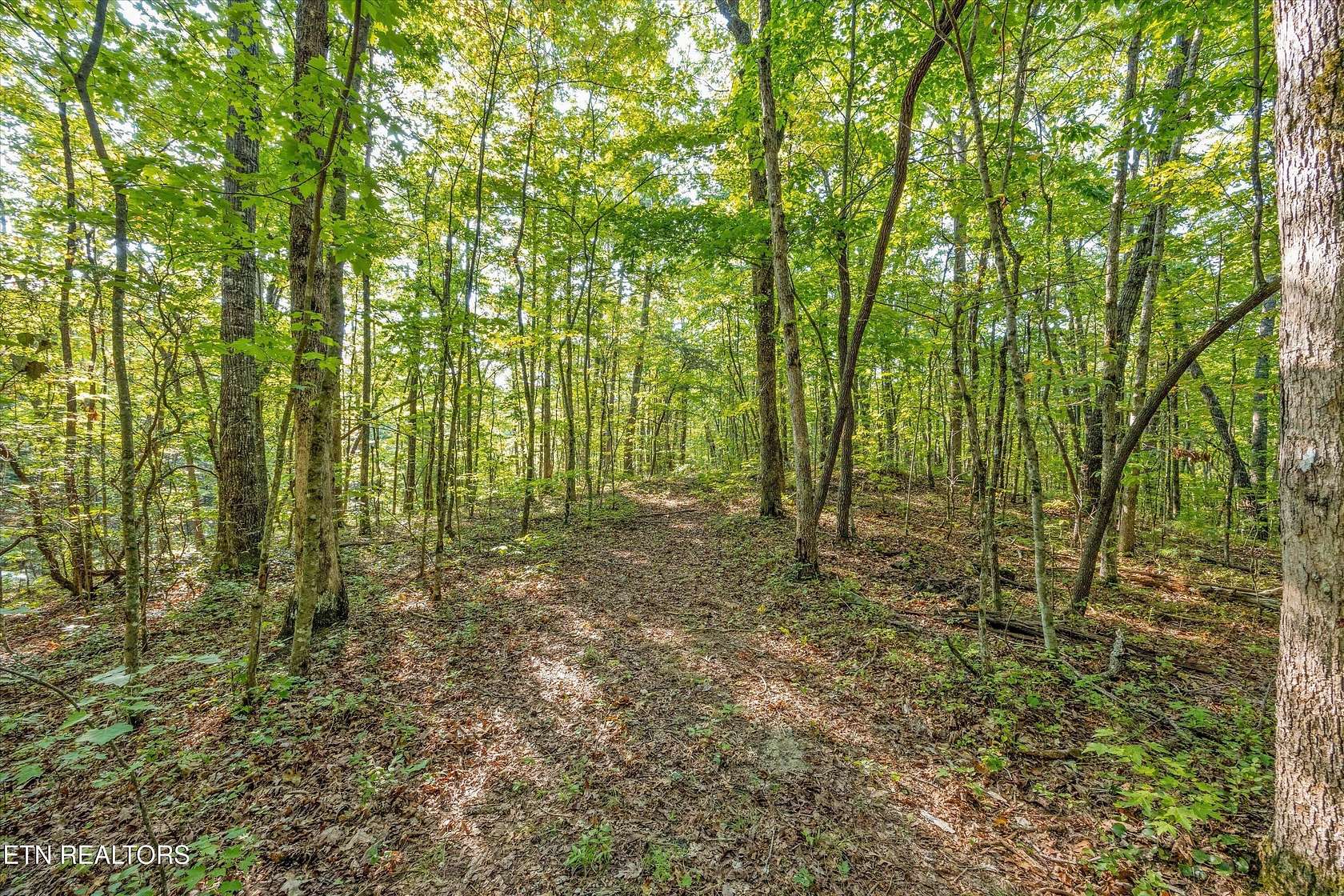 5.66 Acres of Residential Land for Sale in Tallassee, Tennessee