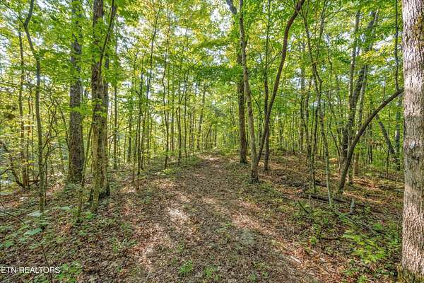 5.66 Acres of Residential Land for Sale in Tallassee, Tennessee