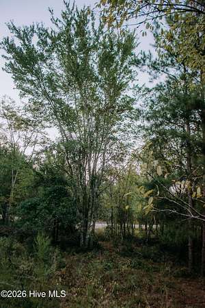 7 Acres of Land for Sale in Aberdeen, North Carolina