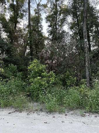 0.29 Acres of Land for Sale in Trenton, Florida
