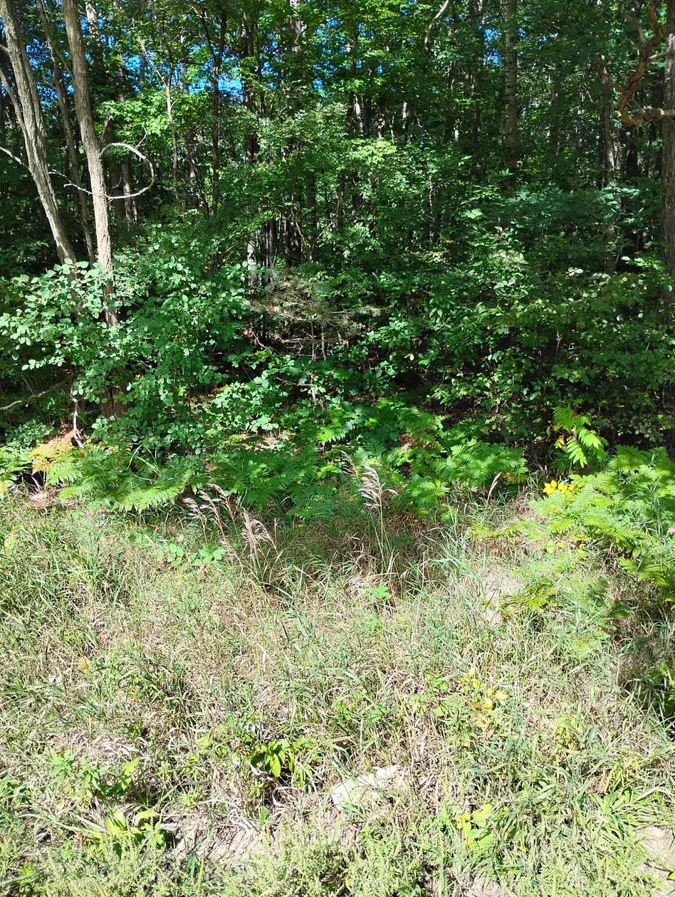 0.36 Acres of Residential Land for Sale in Houghton Lake, Michigan