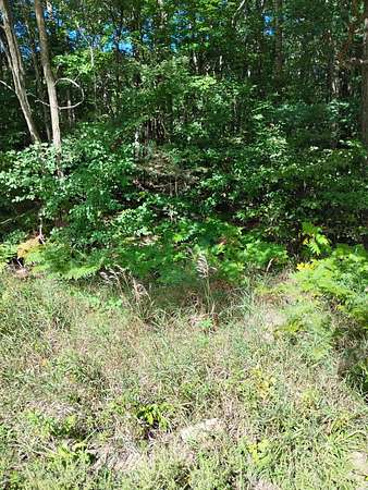 0.36 Acres of Residential Land for Sale in Houghton Lake, Michigan