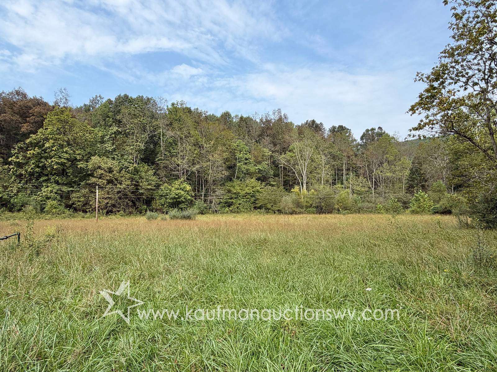 53.2 Acres of Land for Auction in Crawford, West Virginia