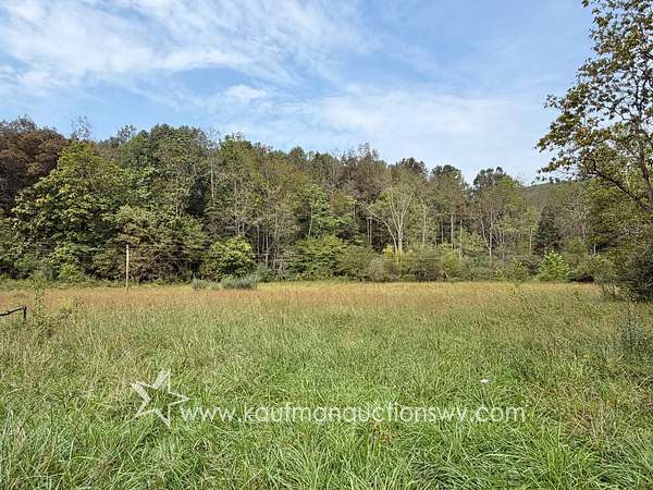53.2 Acres of Land for Auction in Crawford, West Virginia
