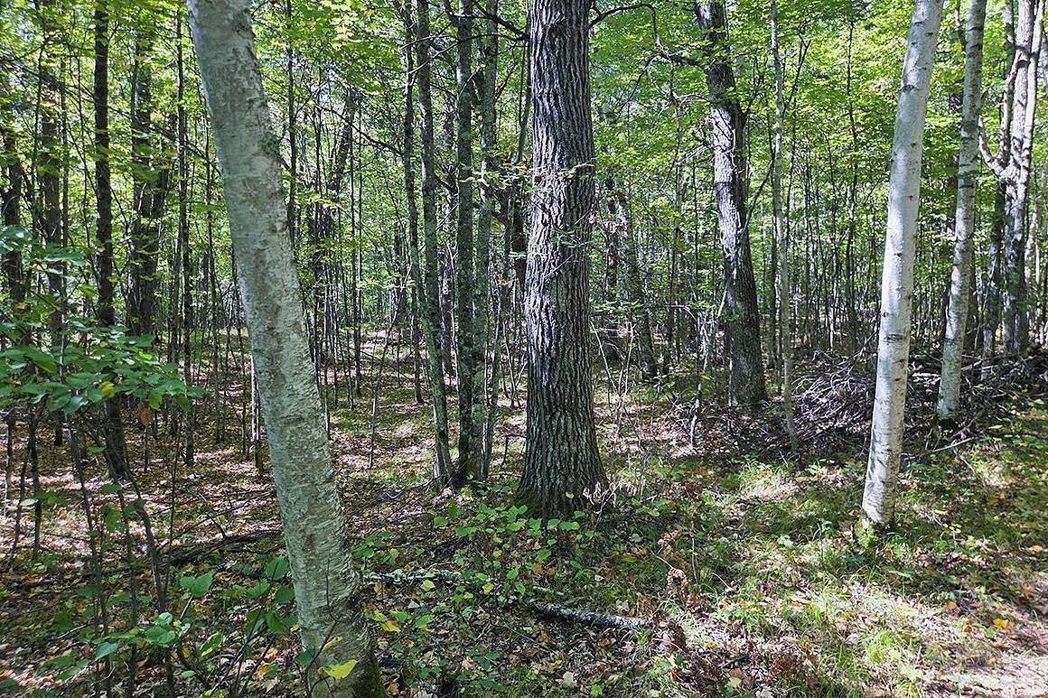 1.5 Acres of Residential Land for Sale in Tomahawk, Wisconsin