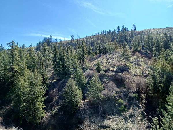 49 Acres of Recreational Land for Sale in Waterville, Washington