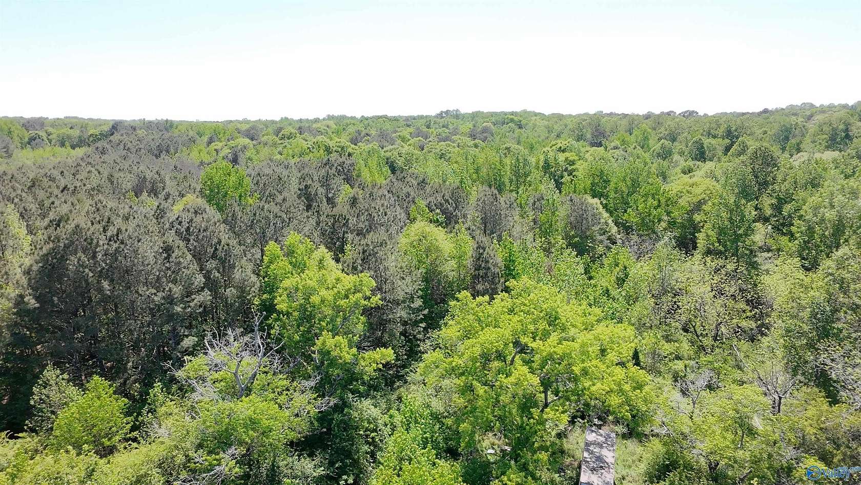 16.5 Acres of Land for Sale in Boaz, Alabama