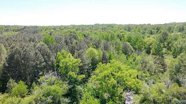 16.5 Acres of Land for Sale in Boaz, Alabama