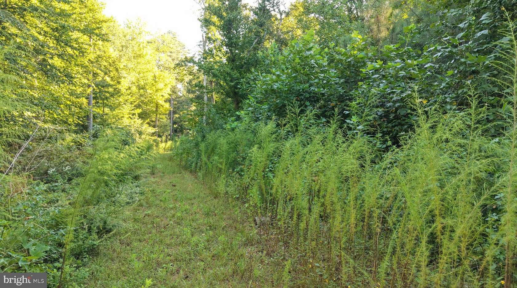 4 Acres of Residential Land for Sale in Denton, Maryland