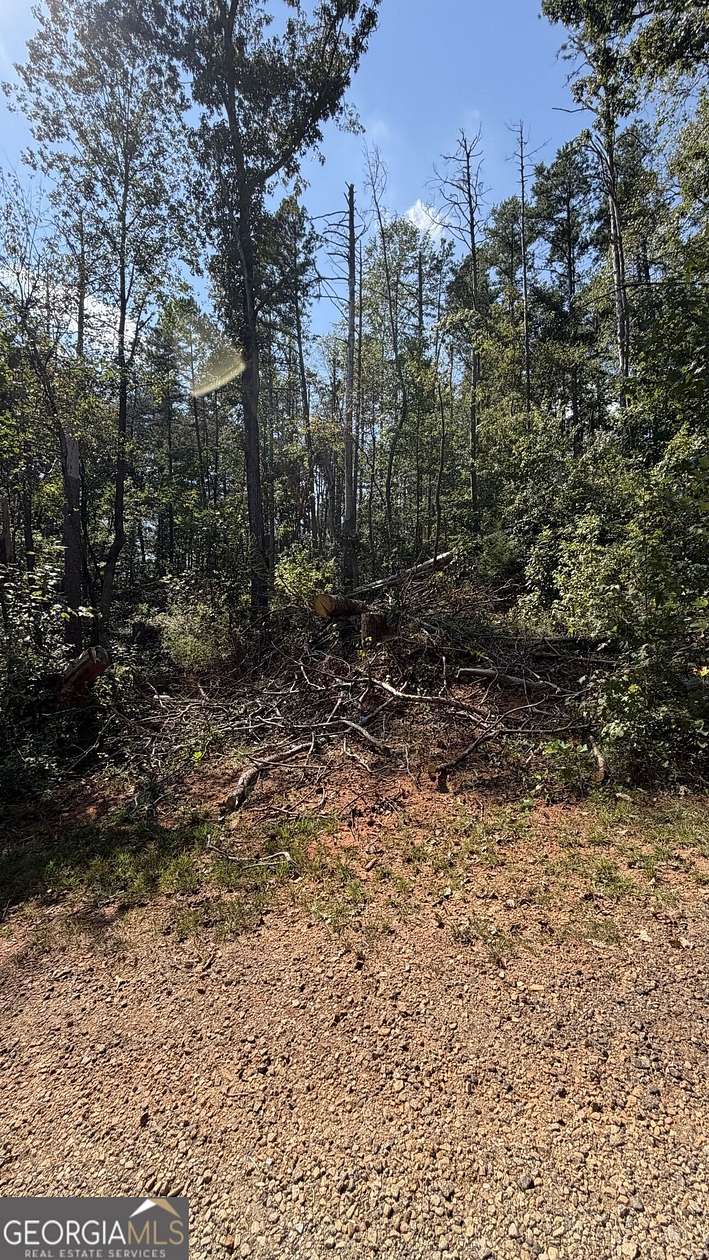 0.3 Acres of Land for Sale in Martin, Georgia