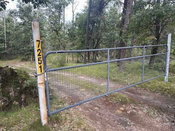 10 Acres of Recreational Land for Sale in Baldwin, Michigan