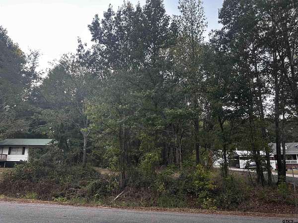 1.18 Acres of Land for Sale in Marshall, Texas