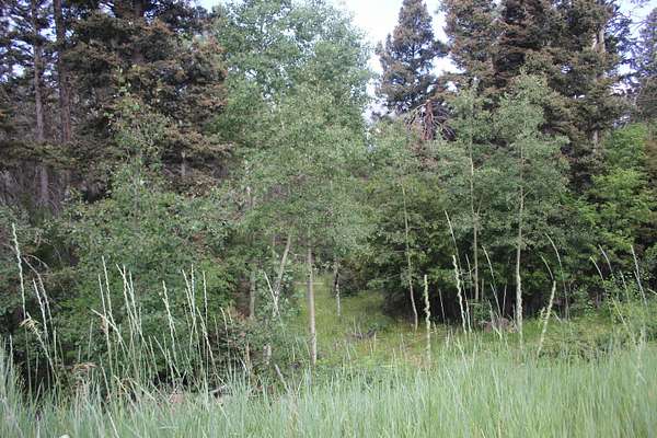 23.9 Acres of Recreational & Residential Land for Sale in Black Lake, New Mexico