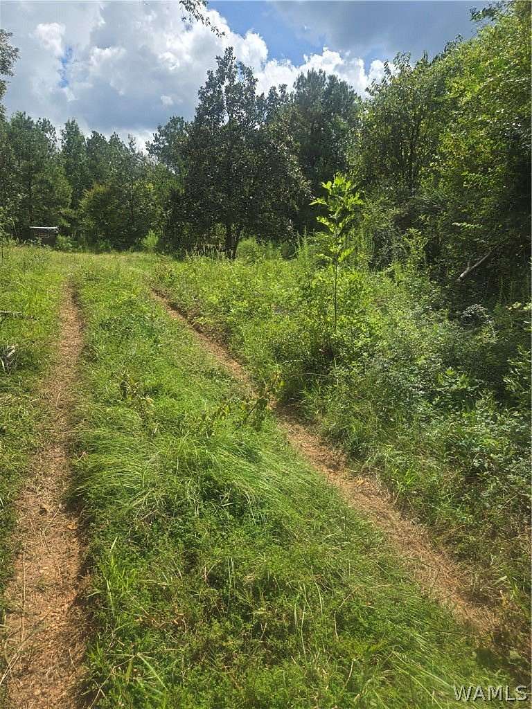19.9 Acres of Land for Sale in Myrtlewood, Alabama