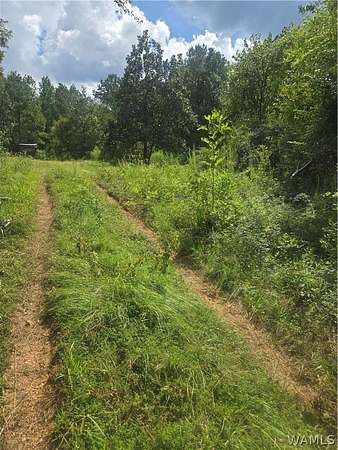 19.9 Acres of Land for Sale in Myrtlewood, Alabama