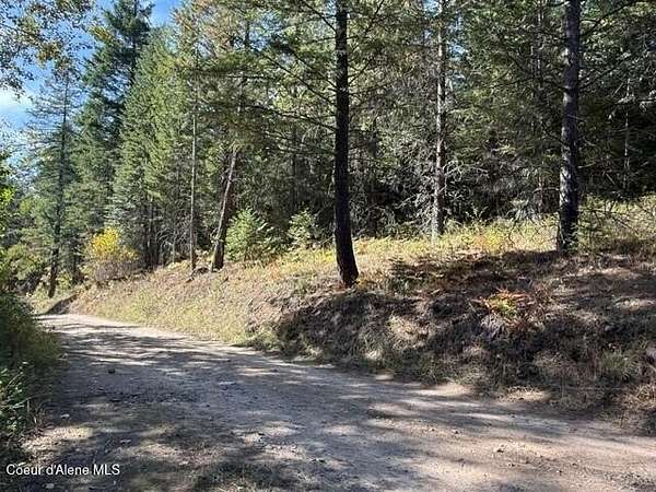 10 Acres of Land for Sale in Priest River, Idaho