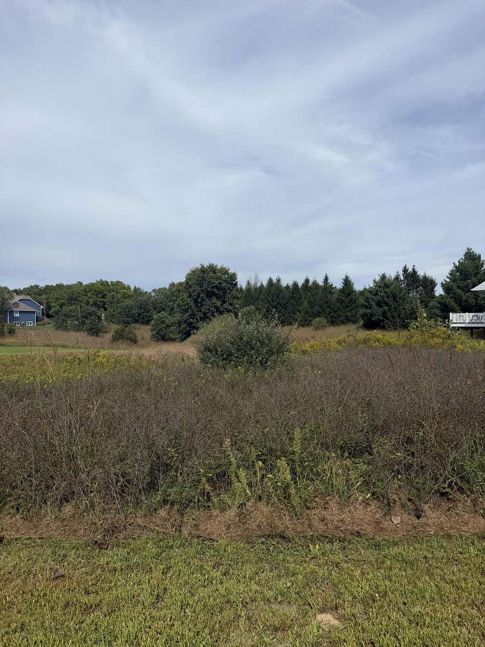 0.51 Acres of Residential Land for Sale in Kalamazoo, Michigan