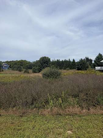 0.51 Acres of Residential Land for Sale in Kalamazoo, Michigan