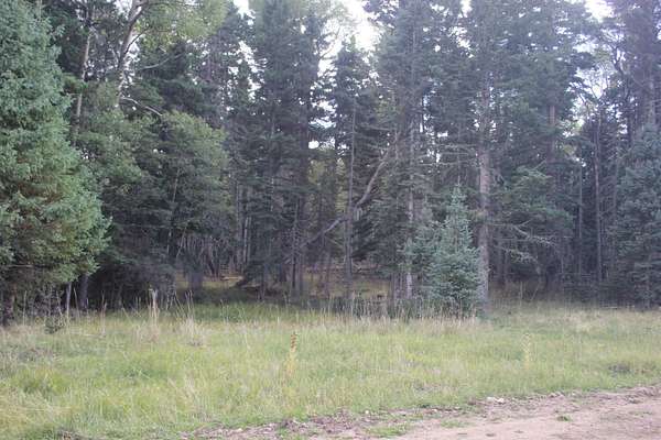 19.5 Acres of Land for Sale in Black Lake, New Mexico
