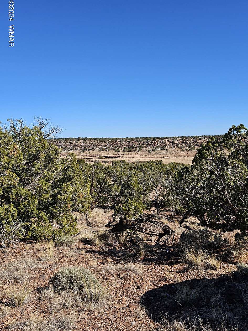 38.4 Acres of Recreational & Residential Land for Sale in Concho, Arizona