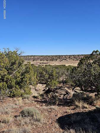 38.4 Acres of Recreational & Residential Land for Sale in Concho, Arizona