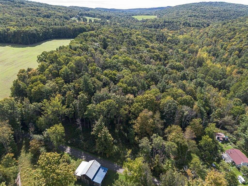1 Acre of Residential Land for Sale in Nichols, New York
