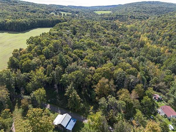 1 Acre of Residential Land for Sale in Nichols, New York