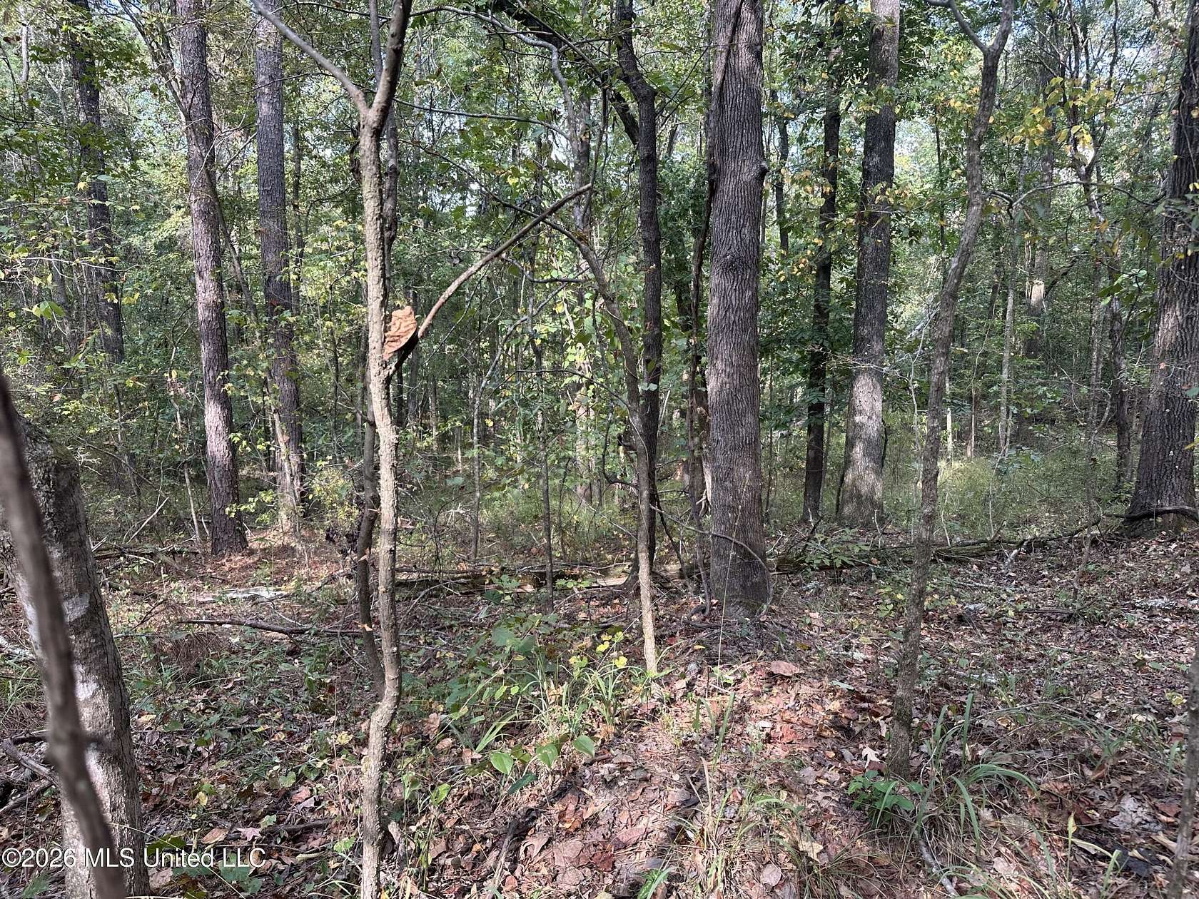 70.4 Acres of Land for Sale in West, Mississippi
