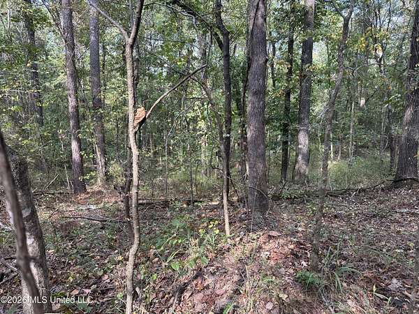 70.4 Acres of Land for Sale in West, Mississippi