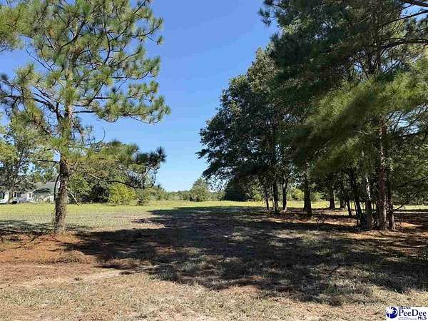 0.42 Acres of Residential Land for Sale in Dillon, South Carolina