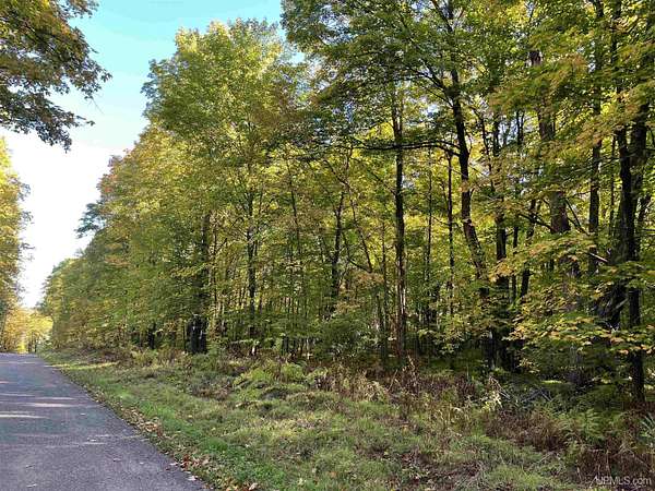 4.2 Acres of Land for Sale in Long Lake, Wisconsin