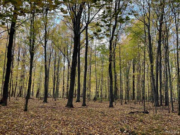2 Acres of Residential Land for Sale in Long Lake, Wisconsin