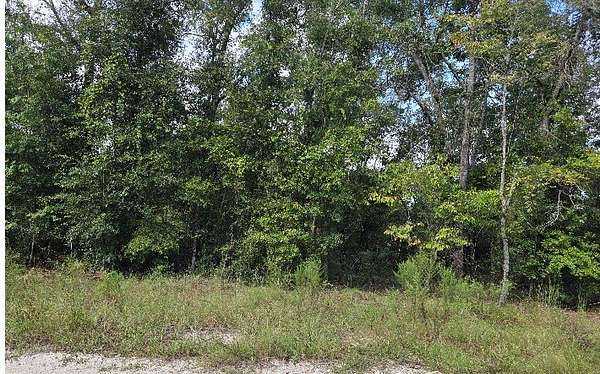 5 Acres of Land for Sale in McAlpin, Florida