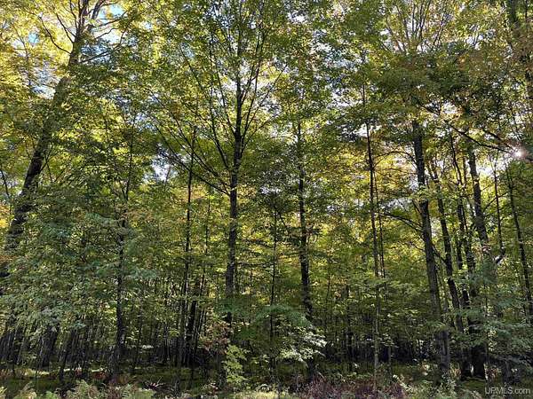 1.3 Acres of Residential Land for Sale in Long Lake, Wisconsin