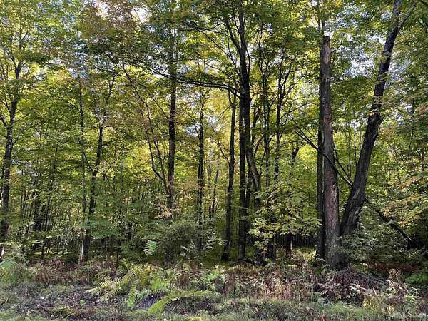 1 Acre of Residential Land for Sale in Long Lake, Wisconsin