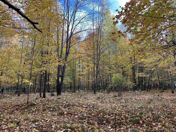 4 Acres of Residential Land for Sale in Long Lake, Wisconsin