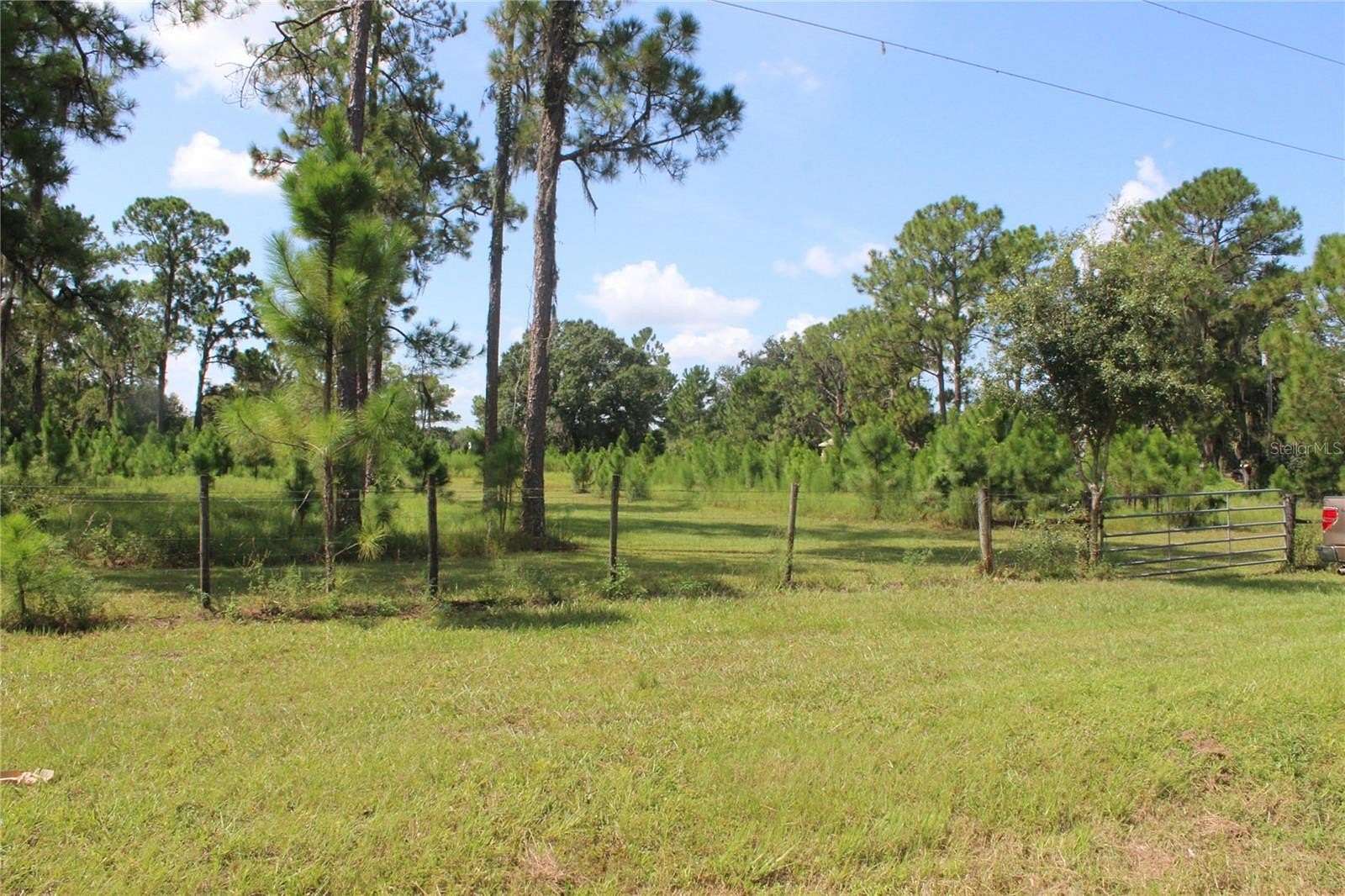 24.3 Acres of Land for Sale in Frostproof, Florida