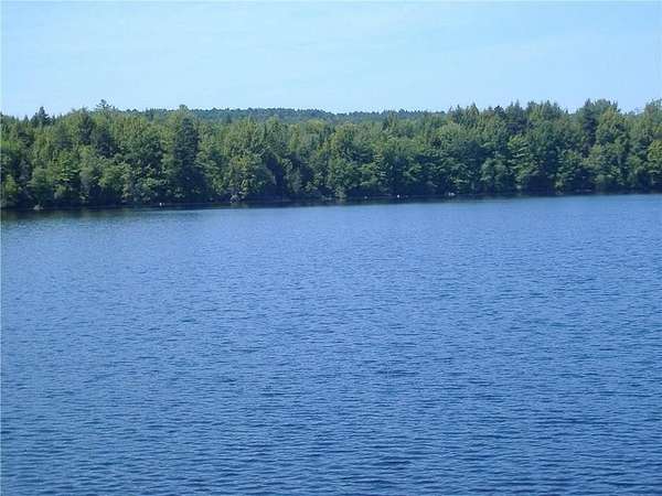 7.4 Acres of Land for Sale in Molunkus, Maine