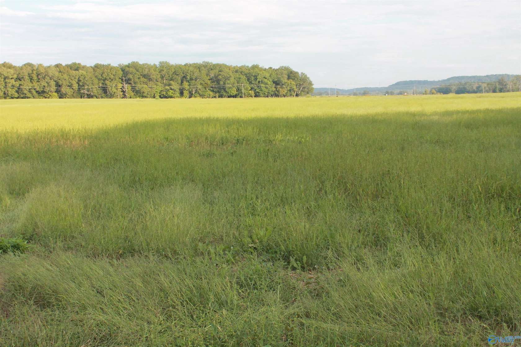 40 Acres of Land for Sale in Falkville, Alabama