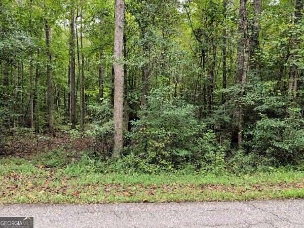 1.28 Acres of Residential Land for Sale in Martin, Georgia