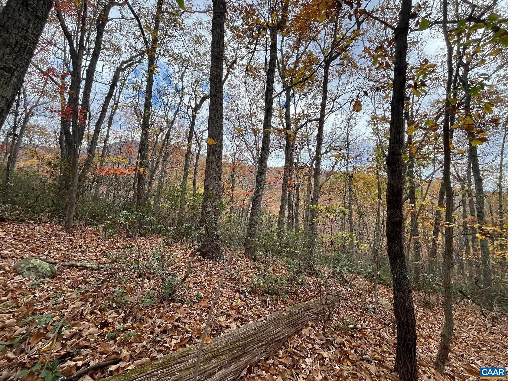 10 Acres of Residential Land for Sale in Nellysford, Virginia