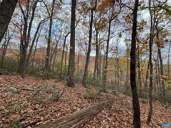 10 Acres of Residential Land for Sale in Nellysford, Virginia