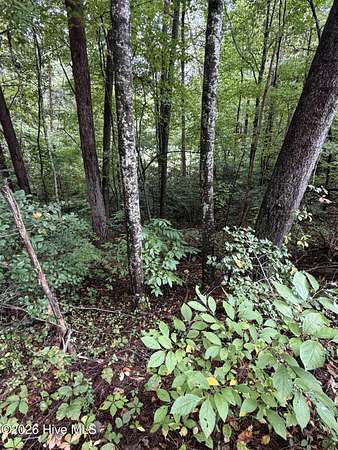 2 Acres of Residential Land for Sale in Murphy, North Carolina