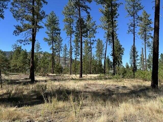 3.85 Acres of Residential Land for Sale in Kettle Falls, Washington