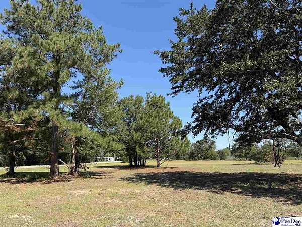 0.58 Acres of Residential Land for Sale in Dillon, South Carolina