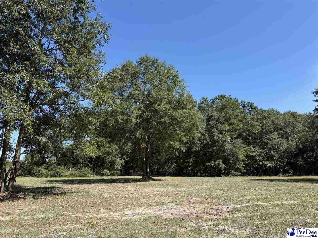 1 Acre of Residential Land for Sale in Dillon, South Carolina