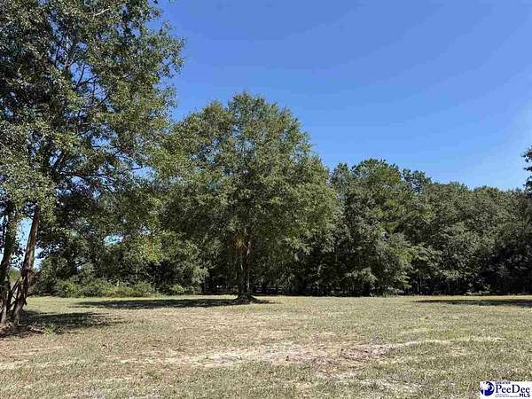 1 Acre of Residential Land for Sale in Dillon, South Carolina